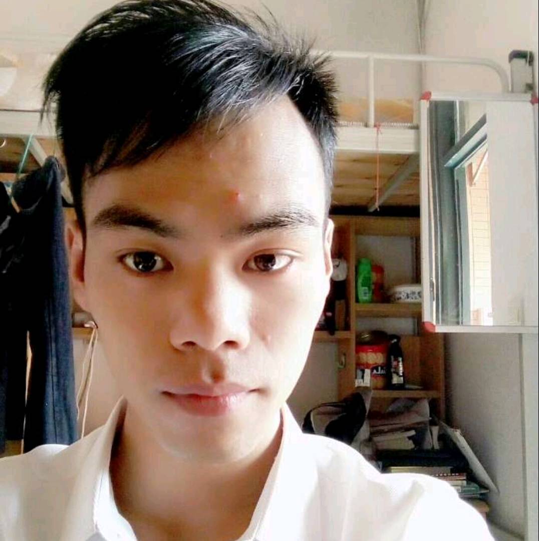 灰狼等于美好的照片