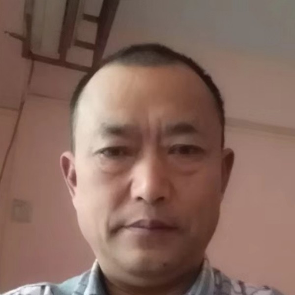 听话的优雅的照片