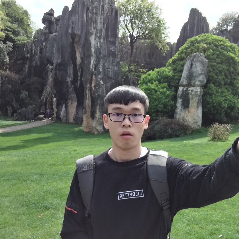 木头的梦想的照片