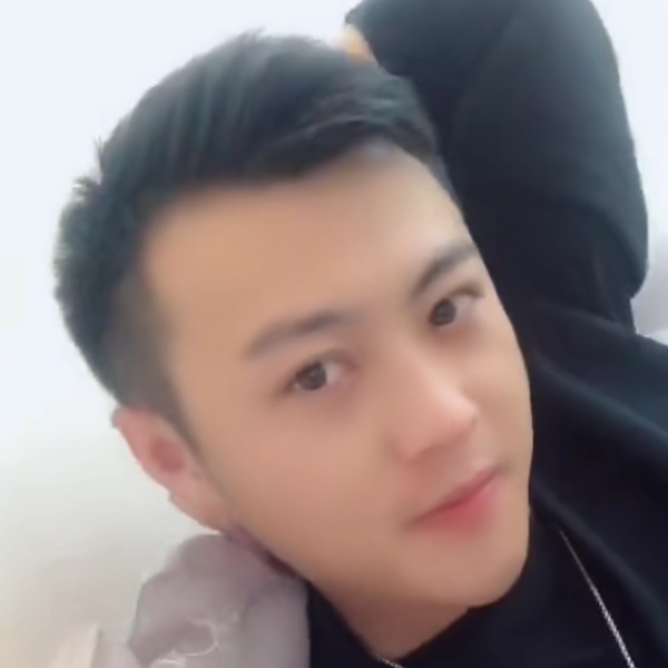 刺猬拥抱的照片