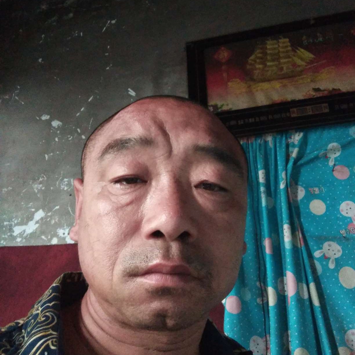 蜻蜓还发嗲的照片