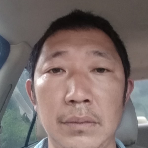 感性吗蚁的照片