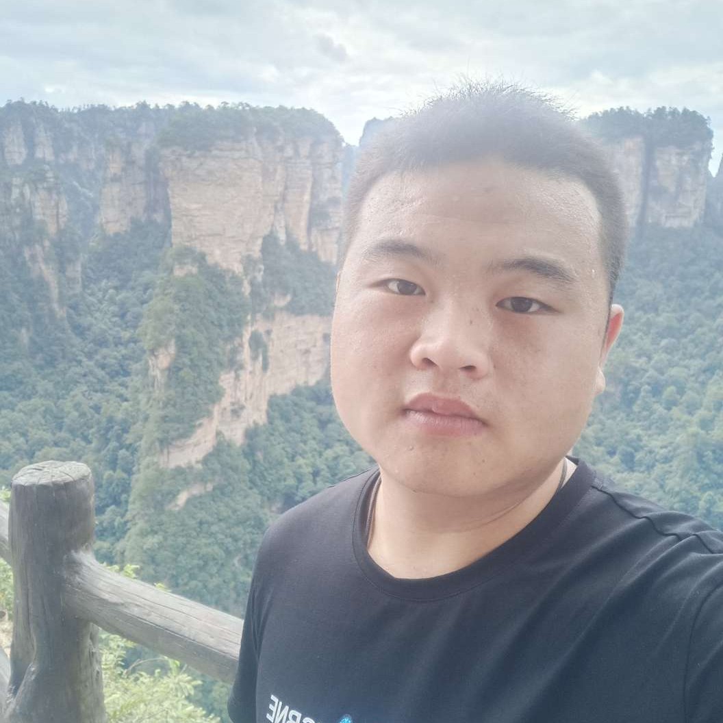 阳光保卫小蘑菇的照片