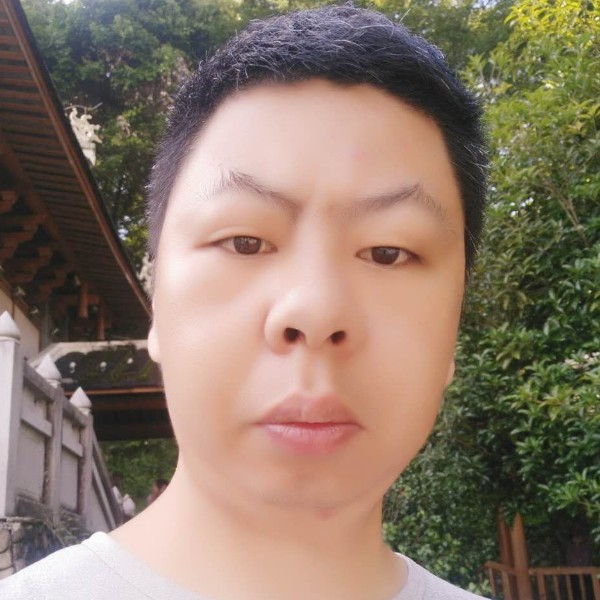 大象深拥漂亮的照片
