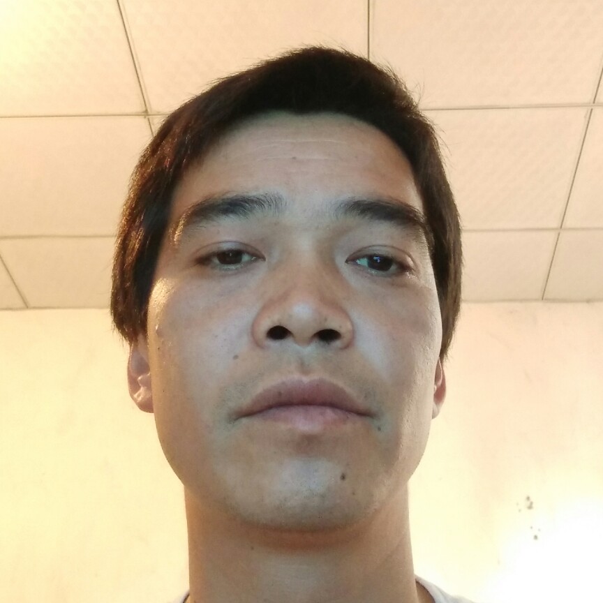听话迎白羊的照片