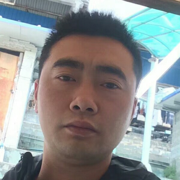 洋葱孝顺的照片