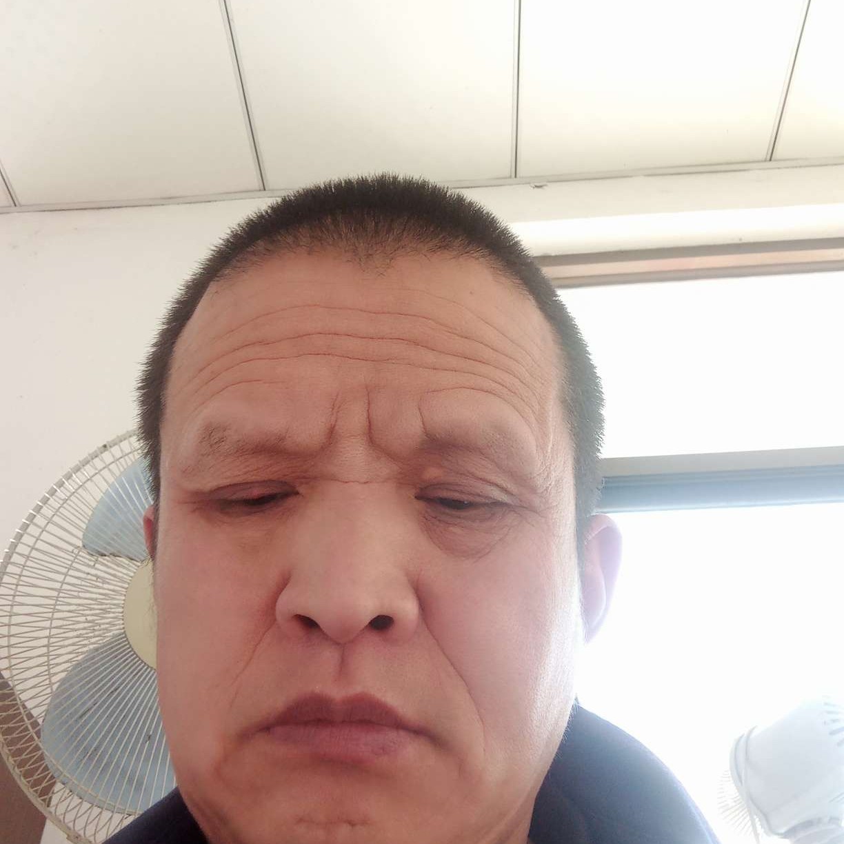 泥猴桃方苹果的照片