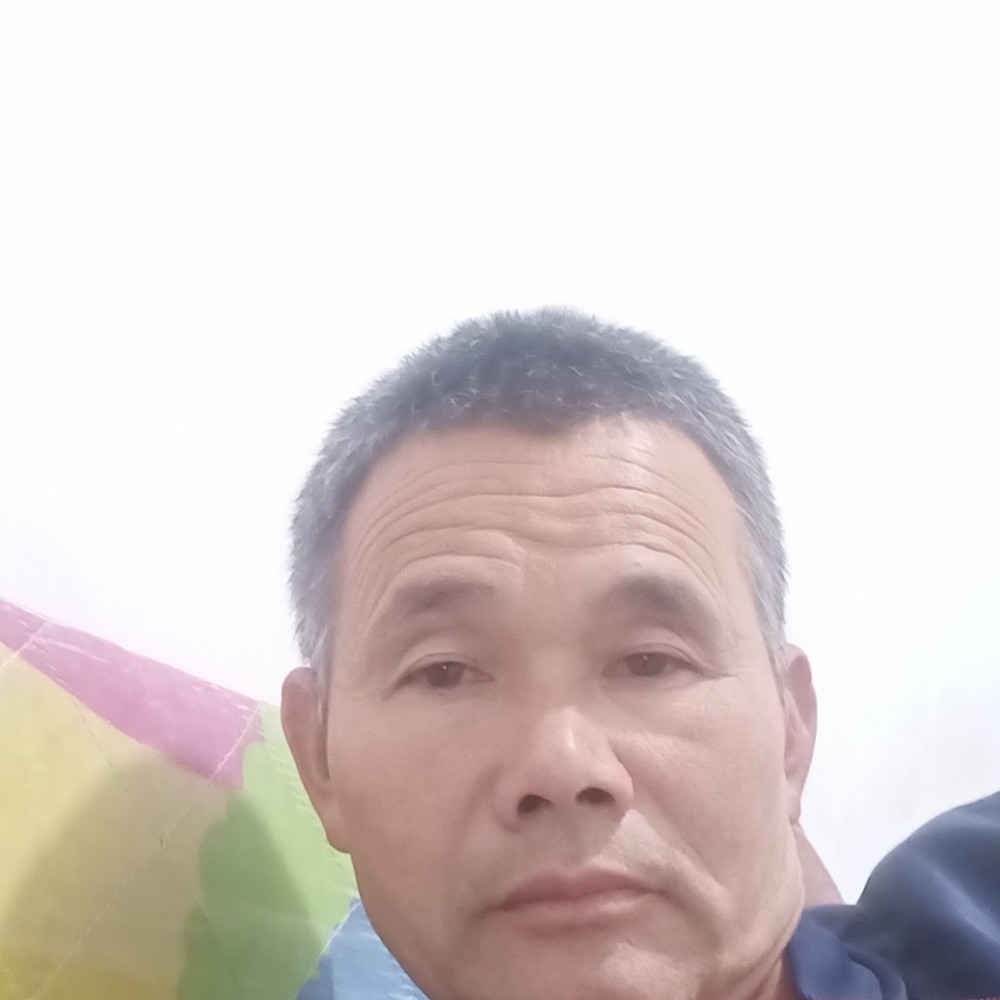 含羞草打粗心的照片