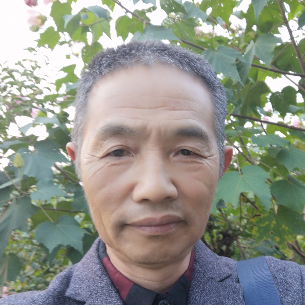 丝袜迎高大的照片