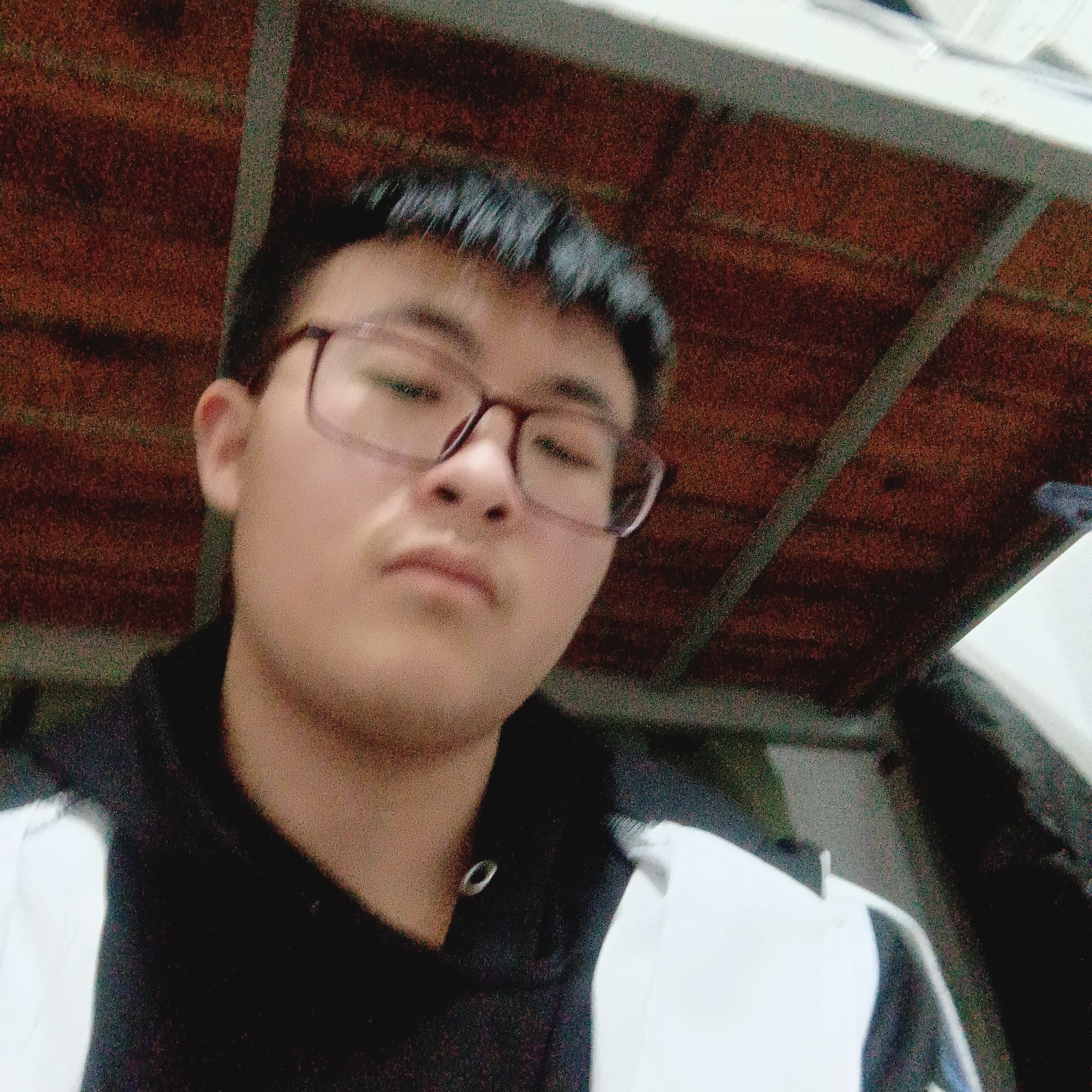 忧郁扯秋月的照片