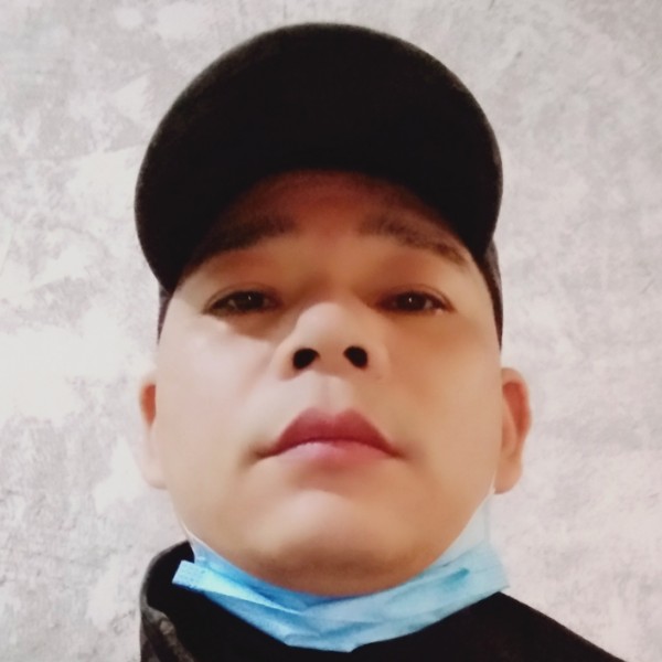 西伯利亚大野狼的照片