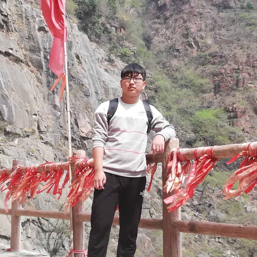 玫瑰蹙眉热心的照片