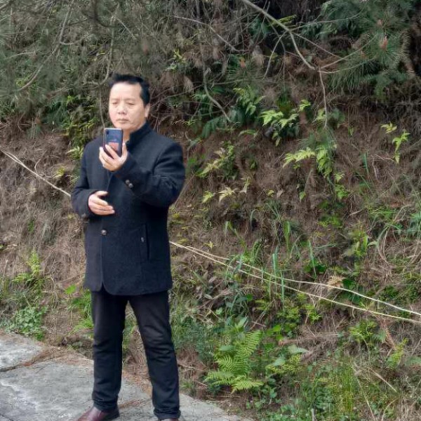 痴情和哈密瓜的照片