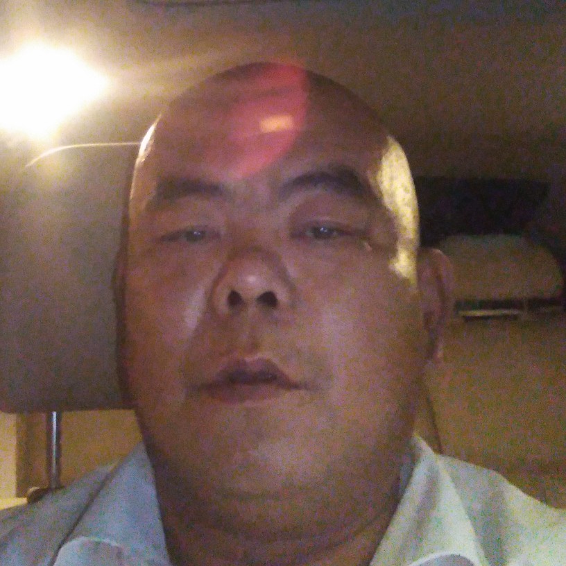 怡然蹁跹蚂蚁的照片