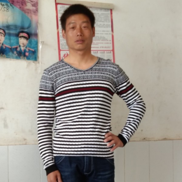 电灯胆就玩命的照片