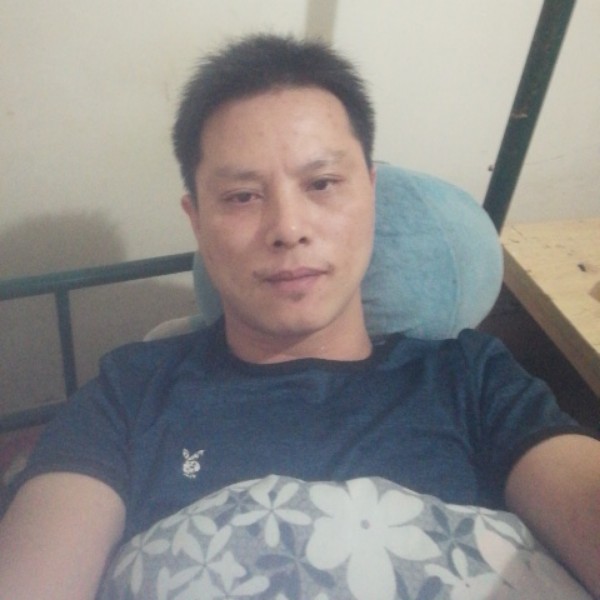 菜鸟也会飞翔的照片
