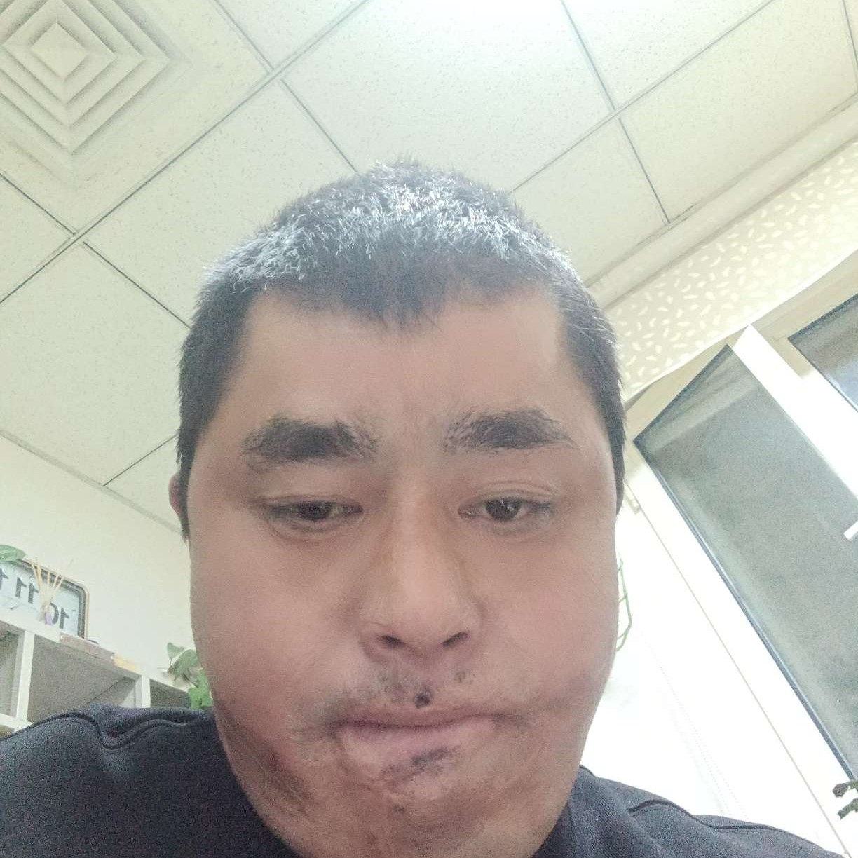 翅膀吃醋热心的照片