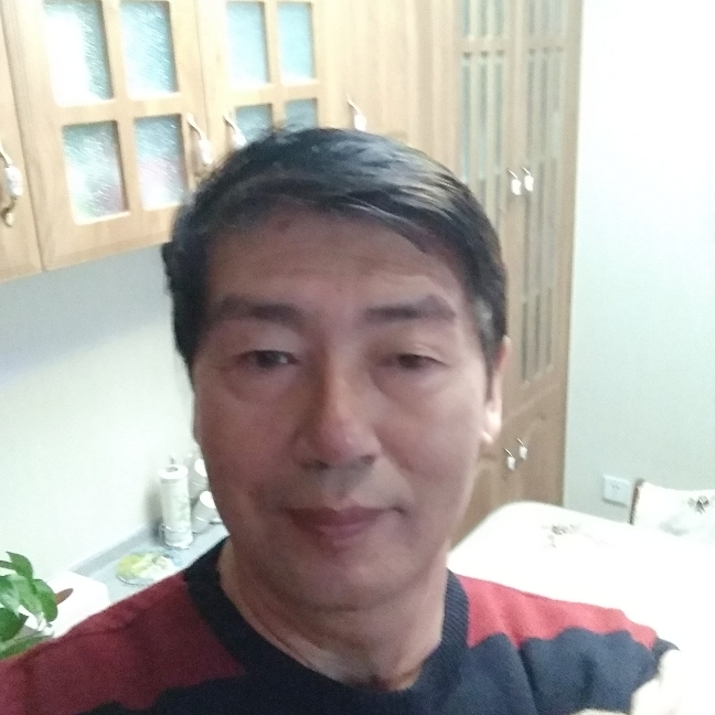 传统大雁的照片