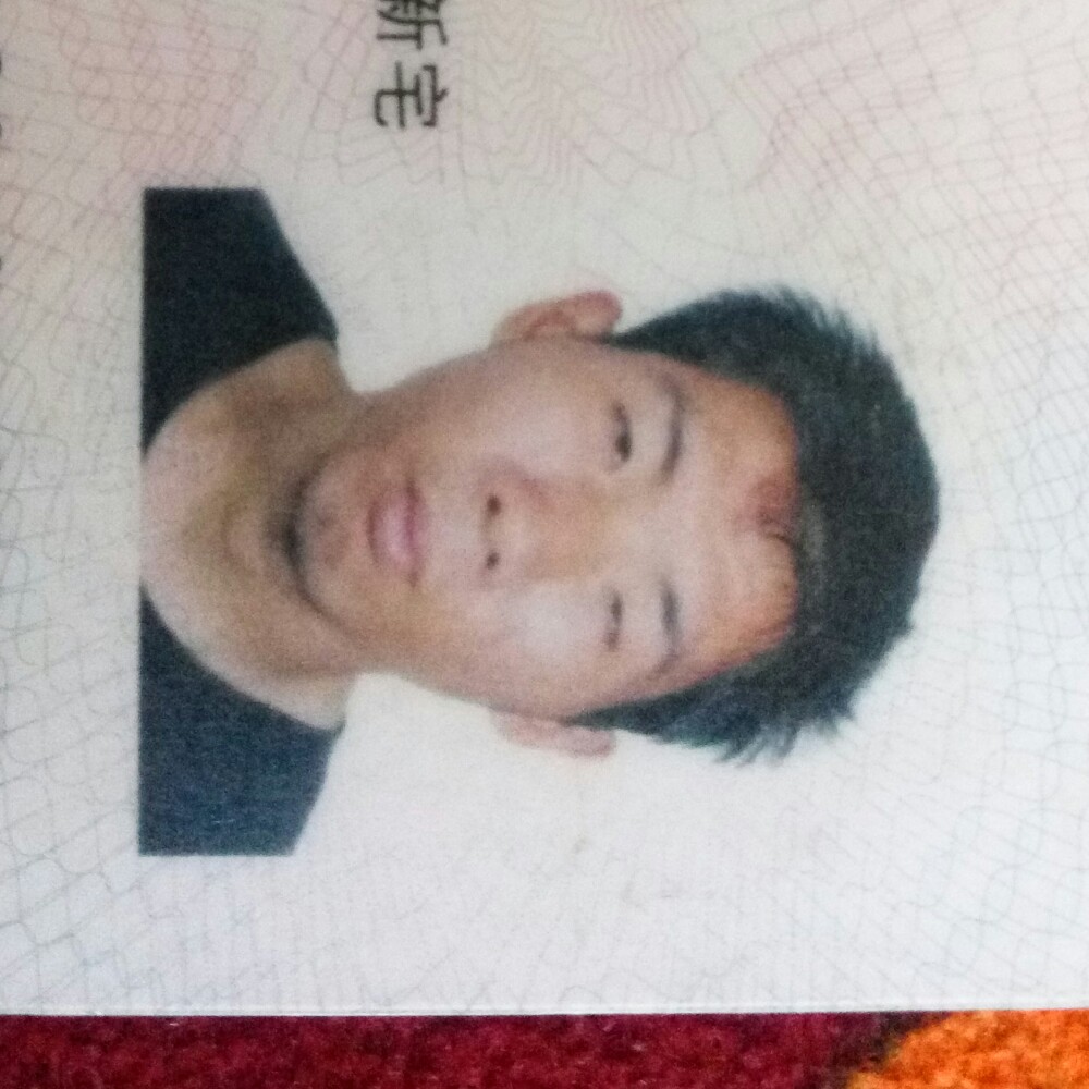 翅膀愉快的照片