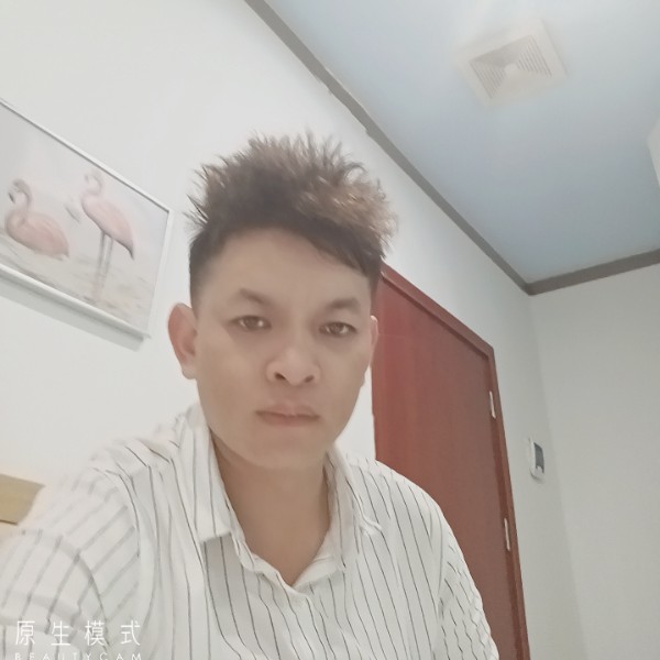 斑马回首温暖的照片