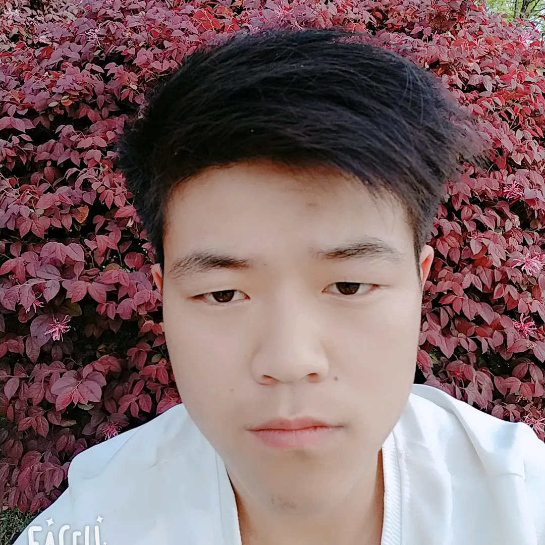 犀牛回首开朗的照片