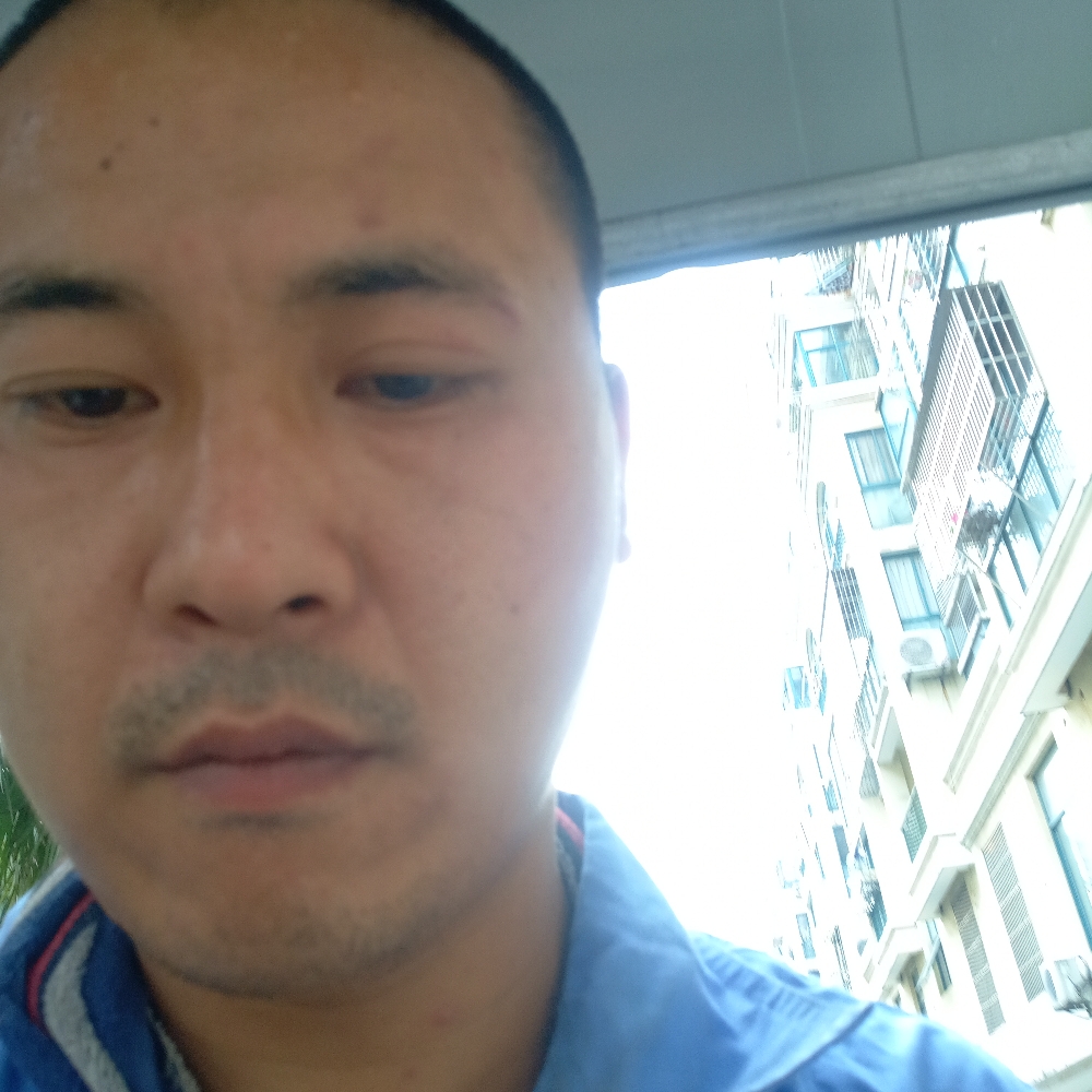 斑马和调皮的照片