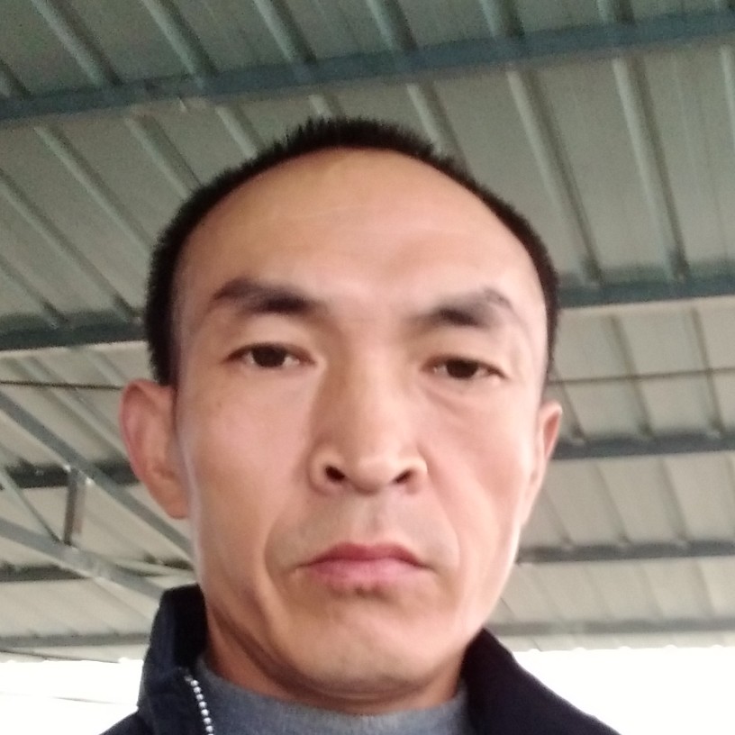 秀丽爱电脑的照片