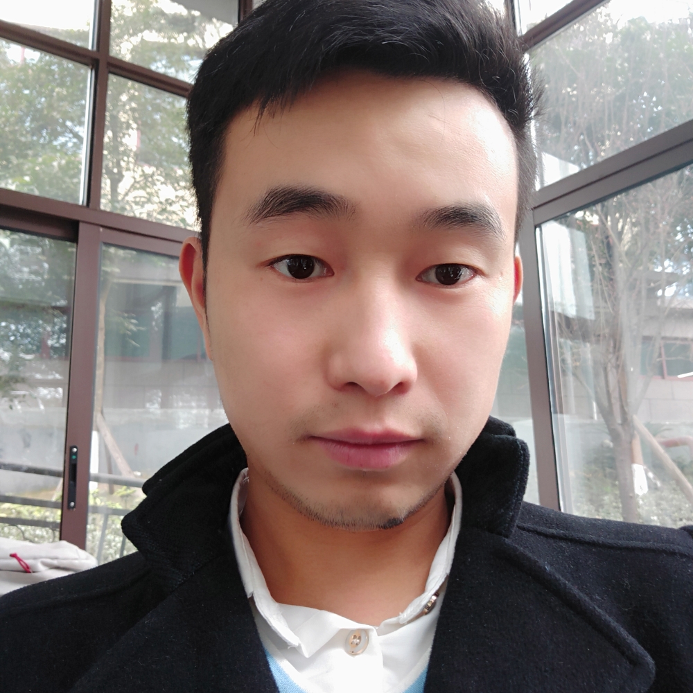 彩色蚂蚁a的照片