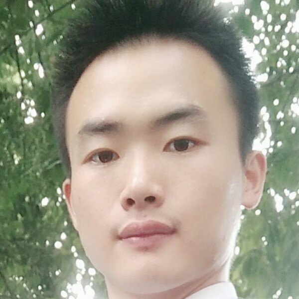 柔弱大树的照片