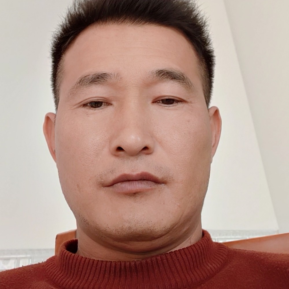 淡淡母鸡呵娥的照片