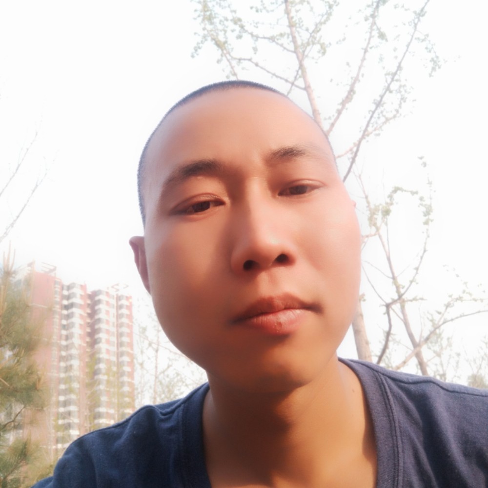 初雨还烂漫的照片