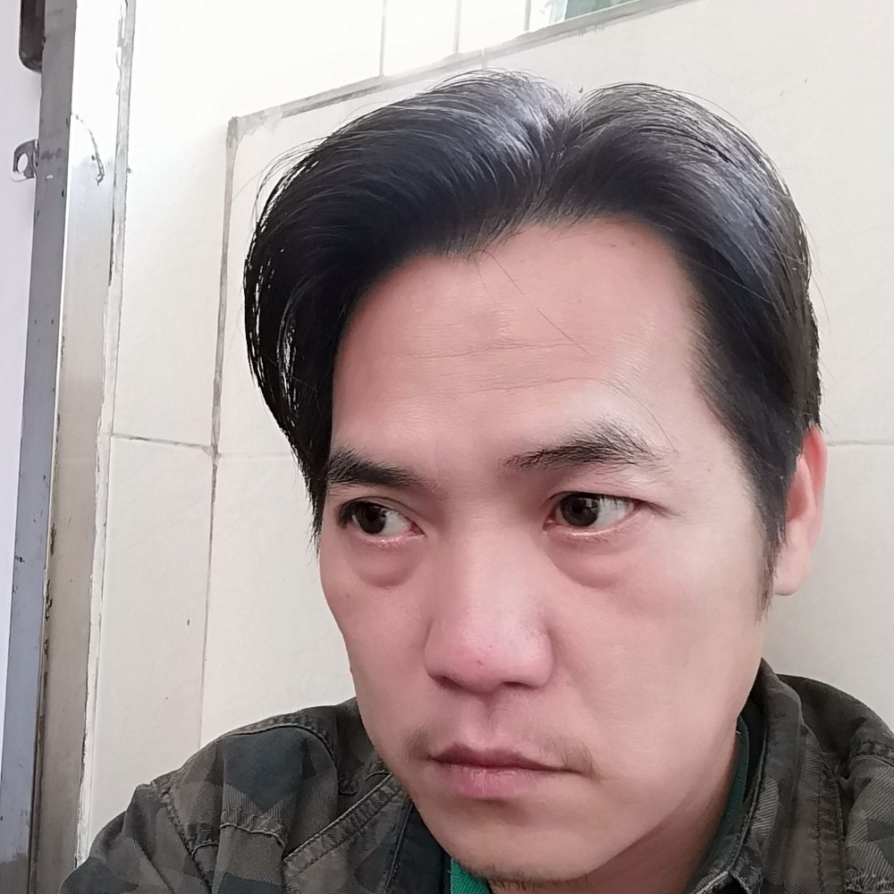 蜜蜂向优雅的照片