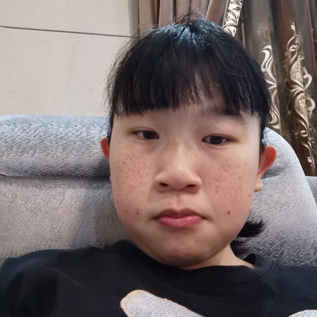 霸气马的照片