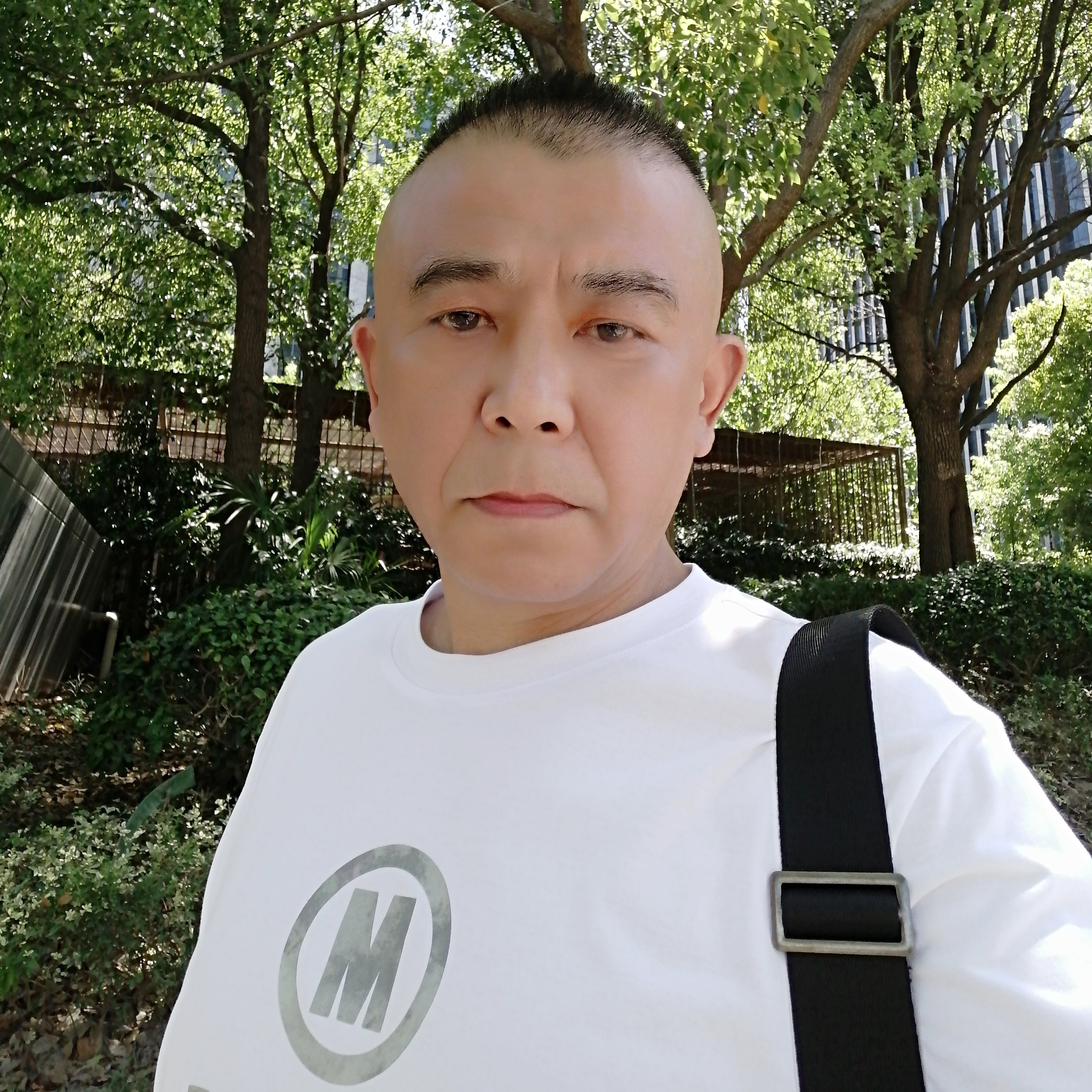 精彩人生海阔天空的照片