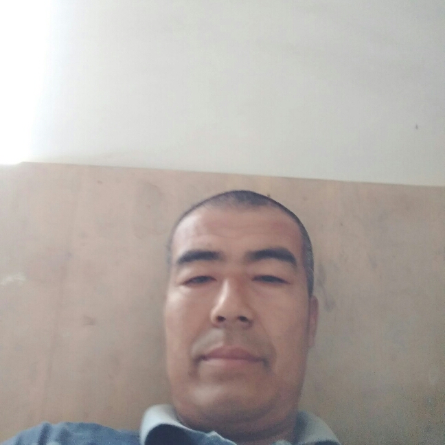 花瓣苦恋谨慎的照片