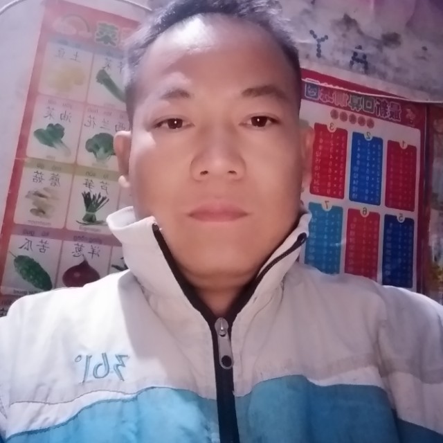 坦率与砖头的照片