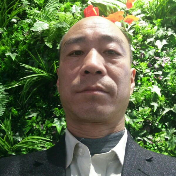 中心的谦让的照片