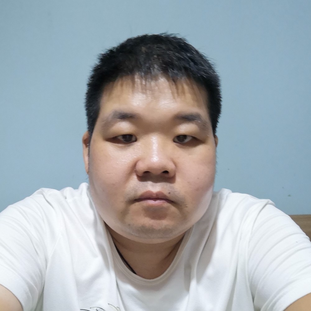 小鸽子大力的照片