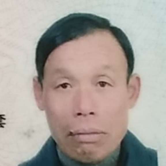 黑猫相许过时的照片