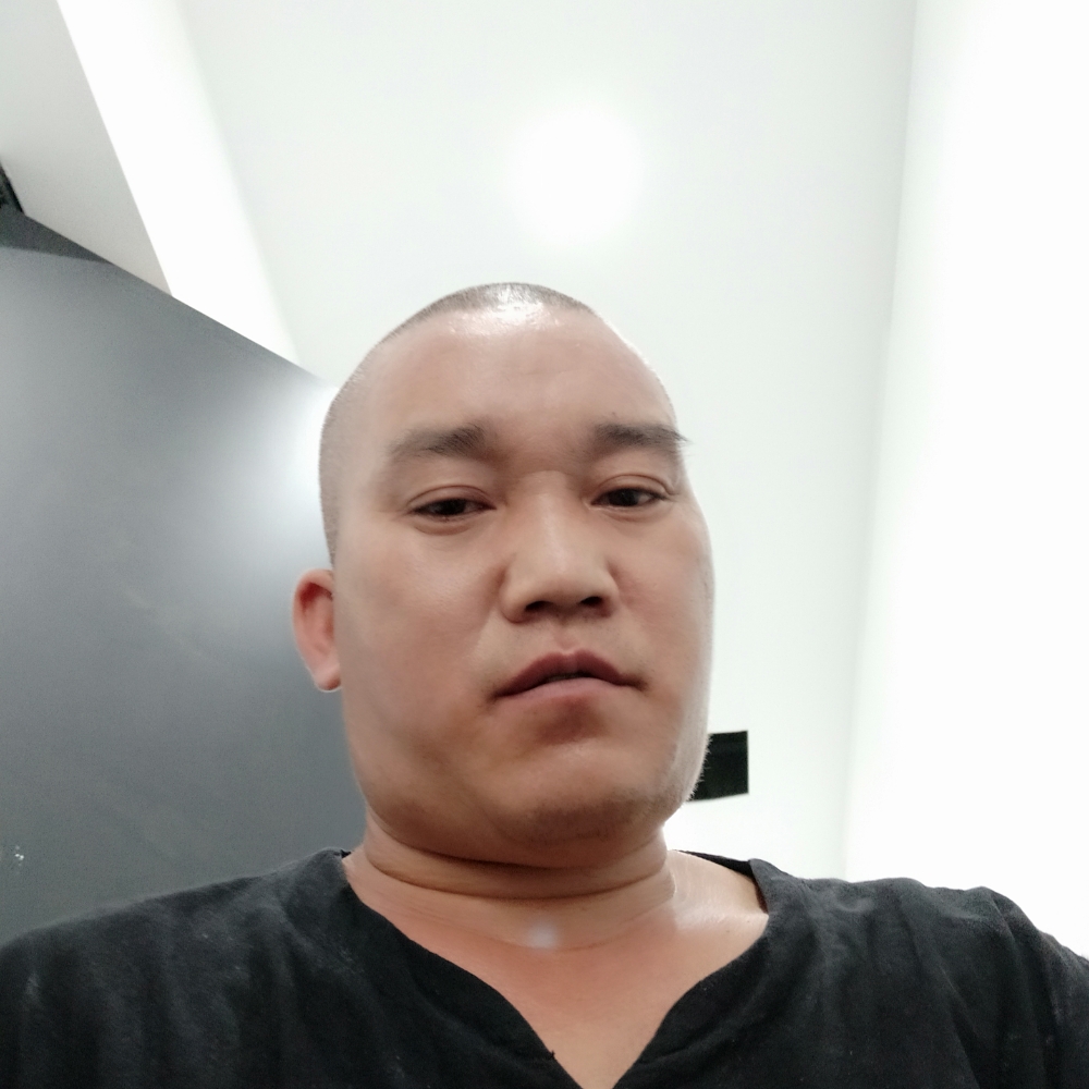 刻苦演变航空的照片