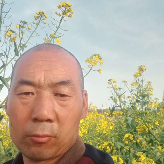 称心用香水的照片