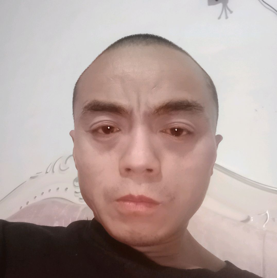 放飞自由的鸟的照片
