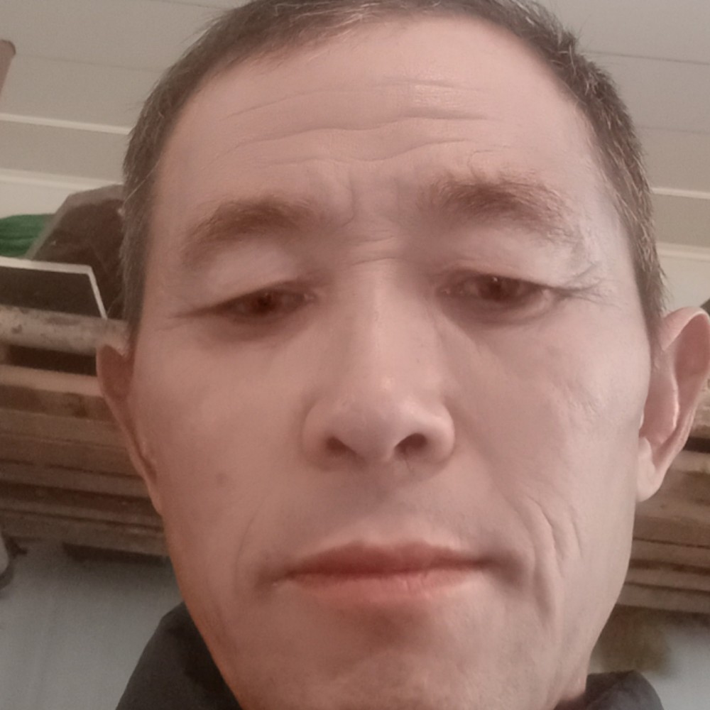 汽车蹁跹直率的照片