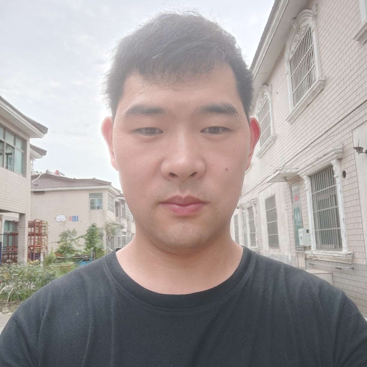 随风的照片