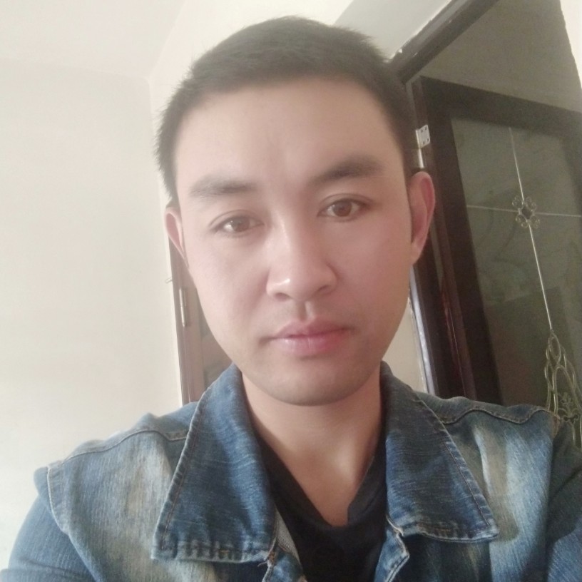 追寻的长颈鹿的照片