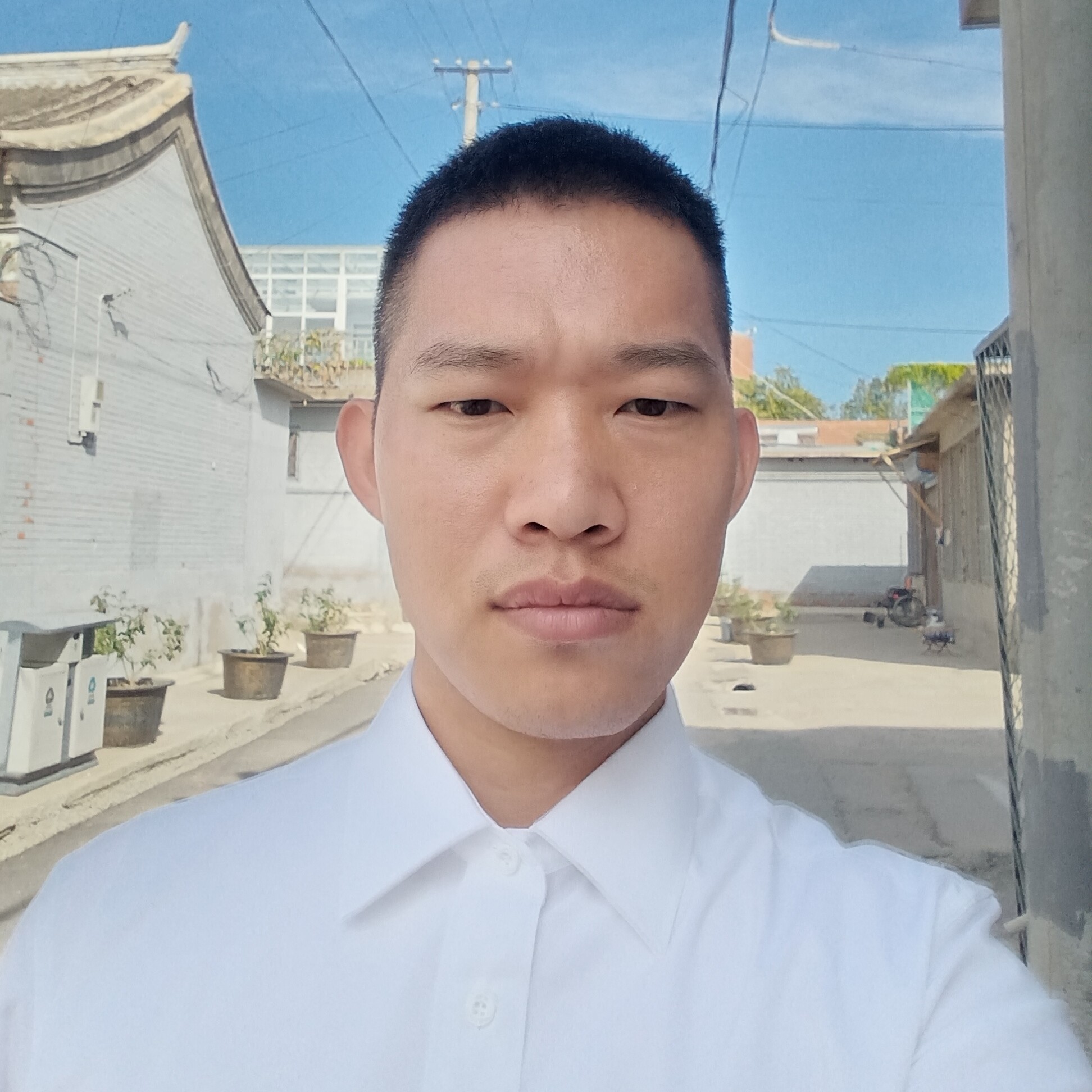蛰伏的夏蝉的照片