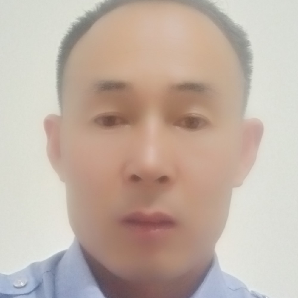 黑猫深情的照片