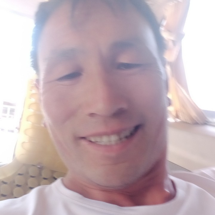 夏天河马的照片