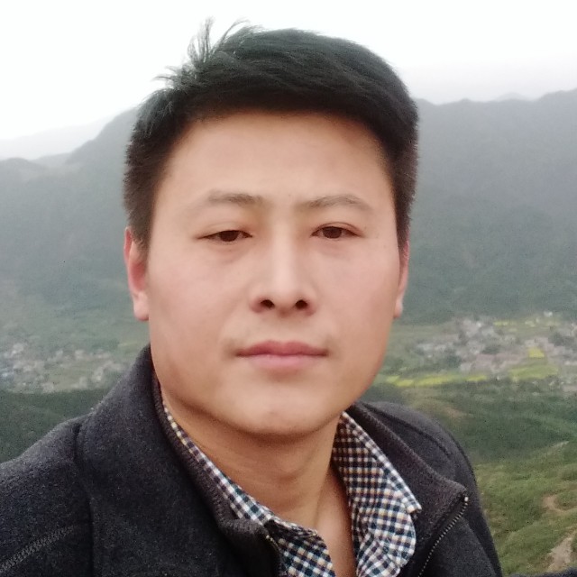 枫叶爱恋的照片