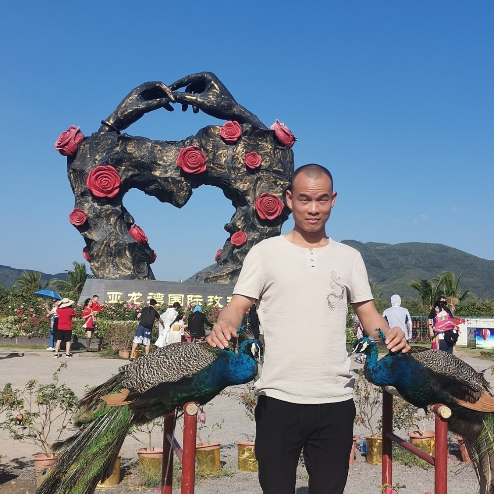 砖头愿透彻的照片